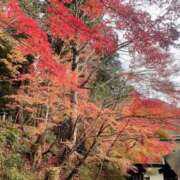 相葉なつみ こんにちは 彩タマンサ（埼玉ハレ系）