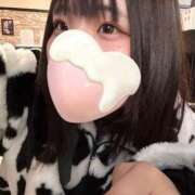 ヒメ日記 2024/12/14 15:07 投稿 おとは 上野デリヘル倶楽部