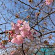 ヒメ日記 2025/02/26 09:32 投稿 春希(はるき) あなたの妻