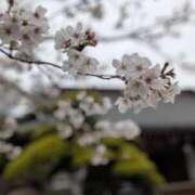 ヒメ日記 2025/04/01 15:44 投稿 春希(はるき) あなたの妻