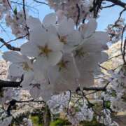 ヒメ日記 2025/04/08 09:56 投稿 春希(はるき) あなたの妻