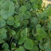 ヒメ日記 2025/06/03 10:02 投稿 春希(はるき) あなたの妻