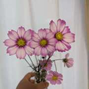 ヒメ日記 2026/01/20 15:47 投稿 春希(はるき) あなたの妻