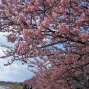 ヒメ日記 2026/02/28 14:31 投稿 春希(はるき) あなたの妻