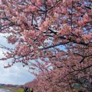 ヒメ日記 2026/02/28 14:35 投稿 春希(はるき) あなたの妻