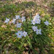 ヒメ日記 2026/03/31 09:52 投稿 春希(はるき) あなたの妻