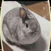 ヒメ日記 2025/03/15 21:55 投稿 桐島 東京セレブな美人妻