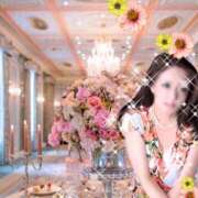 ヒメ日記 2025/03/29 05:41 投稿 桐島 東京セレブな美人妻