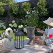 ヒメ日記 2025/05/17 22:14 投稿 桐島 東京セレブな美人妻