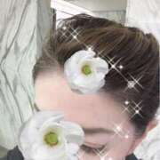 ヒメ日記 2025/06/01 00:00 投稿 桐島 東京セレブな美人妻