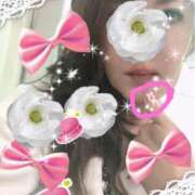 ヒメ日記 2025/06/24 08:35 投稿 桐島 東京セレブな美人妻