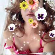 ヒメ日記 2025/09/12 07:44 投稿 桐島 東京セレブな美人妻