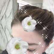 ヒメ日記 2025/09/27 16:09 投稿 桐島 東京セレブな美人妻