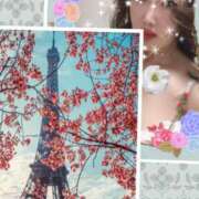 ヒメ日記 2025/12/08 22:30 投稿 桐島 東京セレブな美人妻