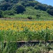 ヒメ日記 2025/08/04 21:48 投稿 紗月(さつき) カリビアンマッサージ 天使のゆびさき 岡山店