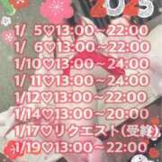 ヒメ日記 2025/01/02 21:30 投稿 ミユお嬢様 M&m Maidとm男の夢物語。