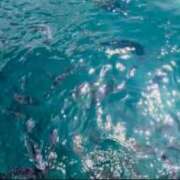 ヒメ日記 2025/06/18 23:59 投稿 ミユお嬢様 M&m Maidとm男の夢物語。