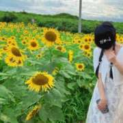 ヒメ日記 2025/08/18 15:00 投稿 ミユお嬢様 M&m Maidとm男の夢物語。