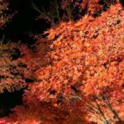 ヒメ日記 2025/11/26 23:55 投稿 ミユお嬢様 M&m Maidとm男の夢物語。