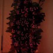 ヒメ日記 2026/01/27 20:50 投稿 ミユお嬢様 M&m Maidとm男の夢物語。