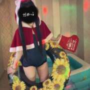 ヒメ日記 2026/02/11 15:46 投稿 ミユお嬢様 M&m Maidとm男の夢物語。