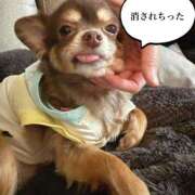 ヒメ日記 2026/03/24 18:17 投稿 ミユお嬢様 M&m Maidとm男の夢物語。