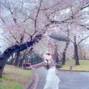 ヒメ日記 2026/04/01 02:02 投稿 ミユお嬢様 M&m Maidとm男の夢物語。