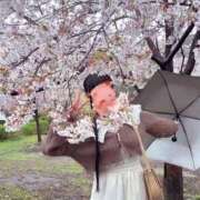 ヒメ日記 2026/04/01 02:37 投稿 ミユお嬢様 M&m Maidとm男の夢物語。