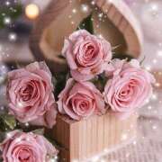 ヒメ日記 2025/02/14 10:07 投稿 すみれ 完熟ばなな 横浜