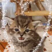 ヒメ日記 2025/02/25 10:36 投稿 すみれ 完熟ばなな 横浜