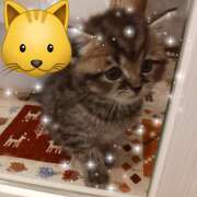 ヒメ日記 2025/03/29 09:33 投稿 すみれ 完熟ばなな 横浜