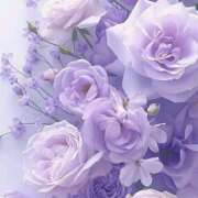 ヒメ日記 2025/04/08 15:51 投稿 すみれ 完熟ばなな 横浜