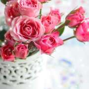 ヒメ日記 2025/07/17 10:04 投稿 すみれ 完熟ばなな 横浜