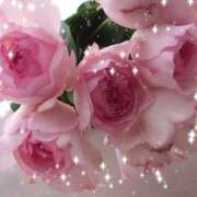 ヒメ日記 2025/10/17 09:57 投稿 すみれ 完熟ばなな 横浜