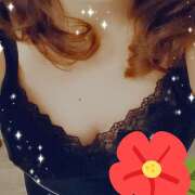 すみれ 11月有り難う 完熟ばなな 横浜