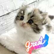 すみれ 12月も宜しくお願いします 完熟ばなな 横浜