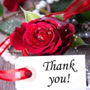 ヒメ日記 2025/12/11 05:58 投稿 すみれ 完熟ばなな 横浜