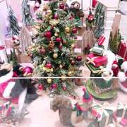 ヒメ日記 2025/12/20 19:28 投稿 すみれ 完熟ばなな 横浜