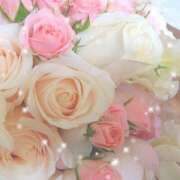 ヒメ日記 2025/12/29 13:00 投稿 すみれ 完熟ばなな 横浜