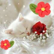 ヒメ日記 2025/12/30 12:58 投稿 すみれ 完熟ばなな 横浜