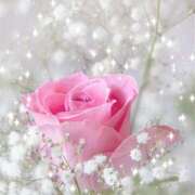 ヒメ日記 2026/01/04 12:58 投稿 すみれ 完熟ばなな 横浜