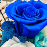 ヒメ日記 2026/01/14 10:46 投稿 すみれ 完熟ばなな 横浜