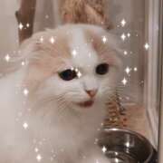 ヒメ日記 2026/01/15 10:09 投稿 すみれ 完熟ばなな 横浜