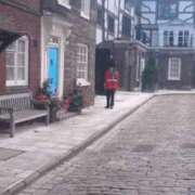 ヒメ日記 2026/01/31 20:10 投稿 まこと 快楽夫人