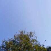 ヒメ日記 2026/03/12 10:39 投稿 まこと 快楽夫人