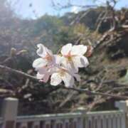 ヒメ日記 2026/03/24 14:59 投稿 まこと 快楽夫人