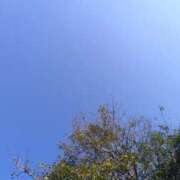 ヒメ日記 2026/03/27 08:28 投稿 まこと 快楽夫人