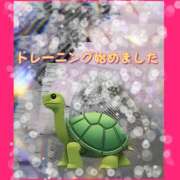 ヒメ日記 2025/06/06 15:01 投稿 めぐみ 五反田アンジェリーク