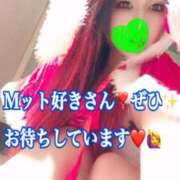 ヒメ日記 2024/12/23 10:04 投稿 かれん ロイヤルヴィトン(宇都宮)