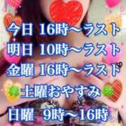 ヒメ日記 2025/02/19 16:24 投稿 かれん ロイヤルヴィトン(宇都宮)